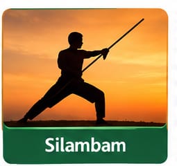 Silambam Class